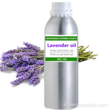 Pasokan pabrik 100% minyak esensial Lavender murni massal